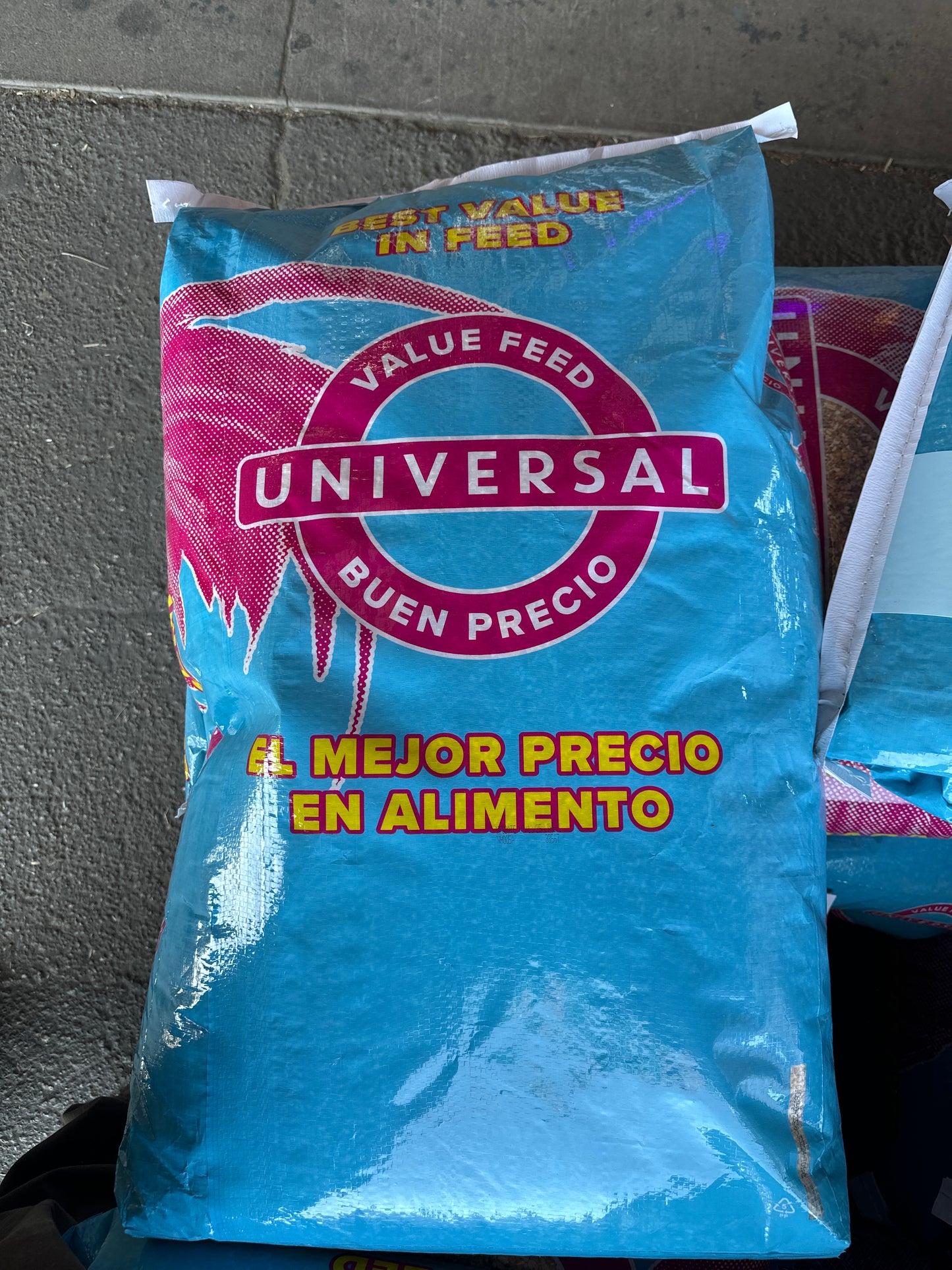 Universal Champion Scratch