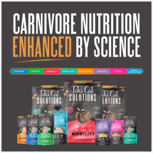 Tiki Cat® Solutions™ Baked Kibble - Dental