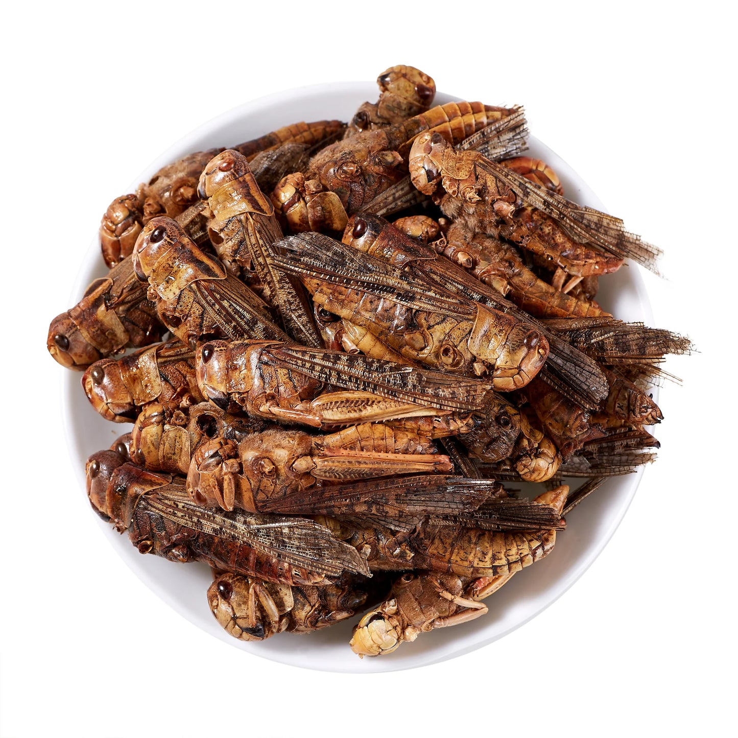LuckyQWorms - Dried Grasshoppers - 1lb