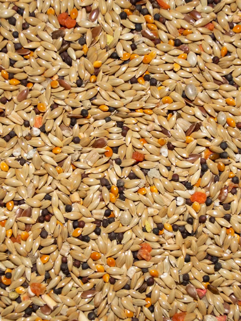 Avian Science Super - Canary