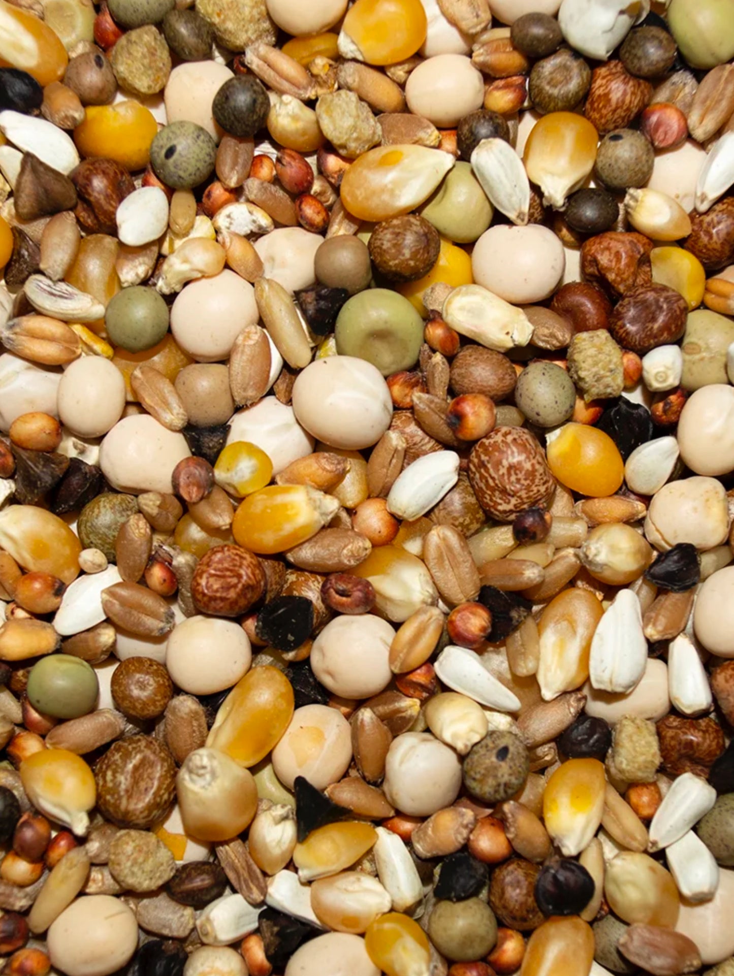 Winner's Cup Platinum Popcorn 17.5%