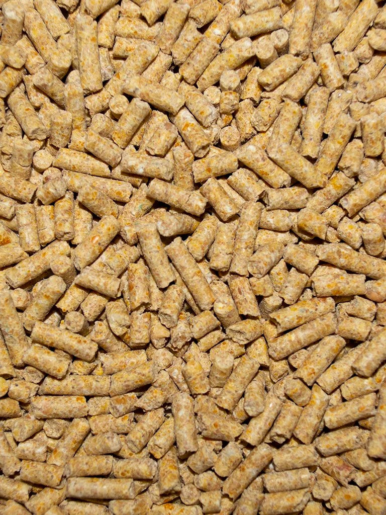 Winner's Cup Pigeon Breeder Pellets - 28%