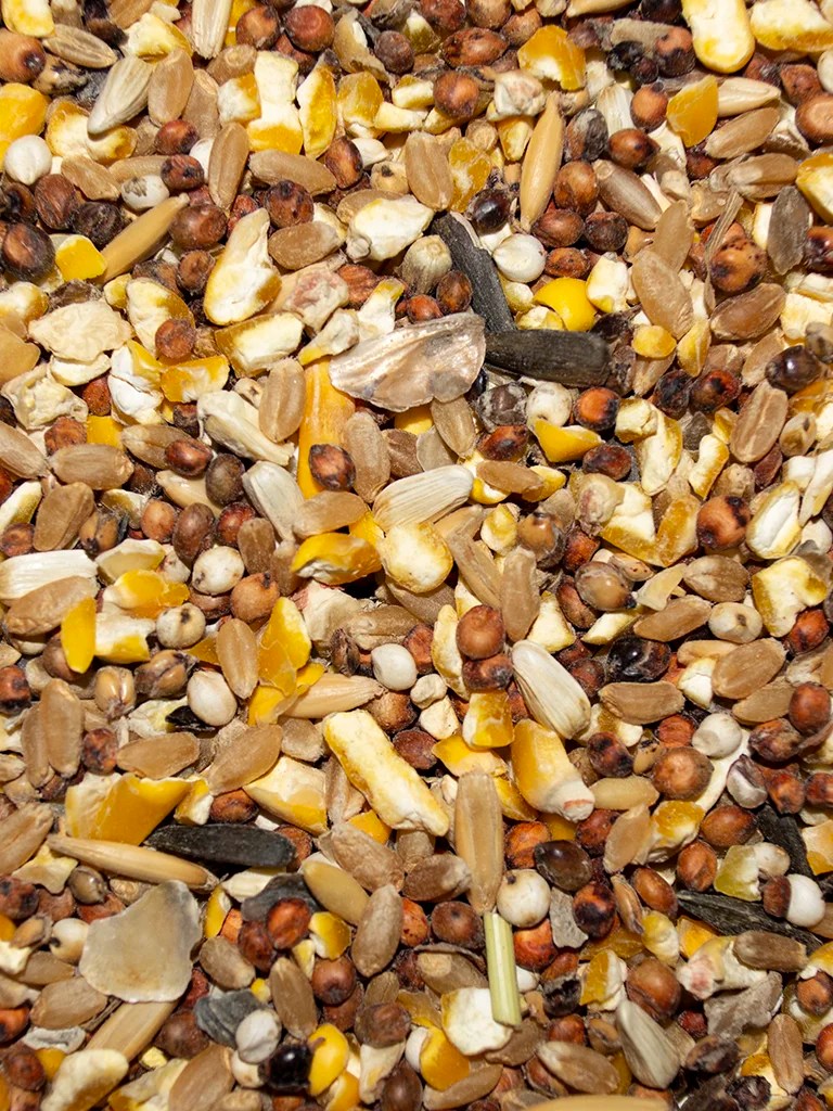 Winner's Scratch - 50lb