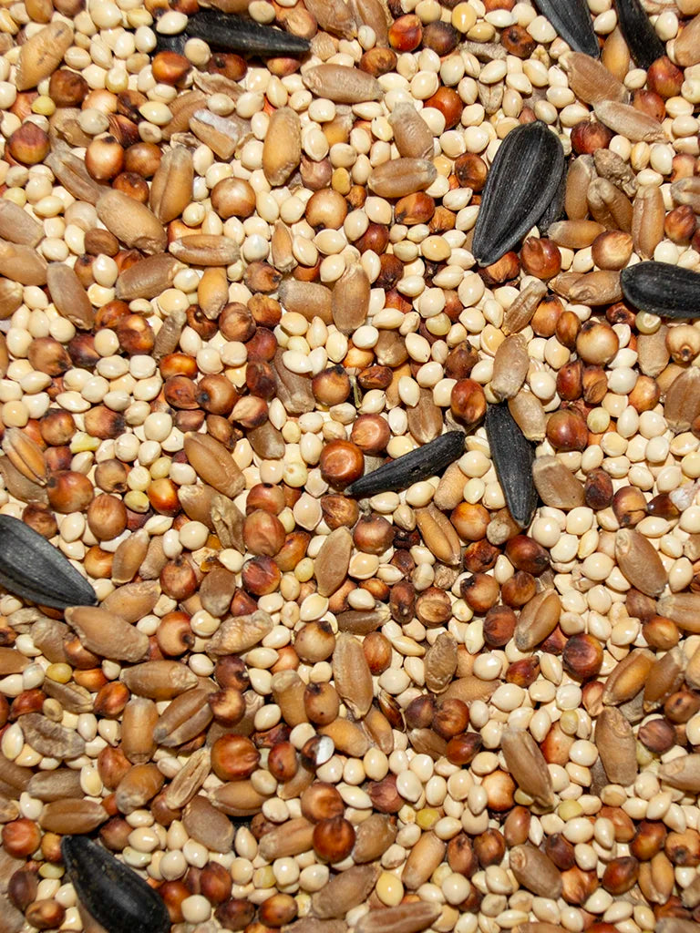 Western Delight - Wild Bird Value Mix