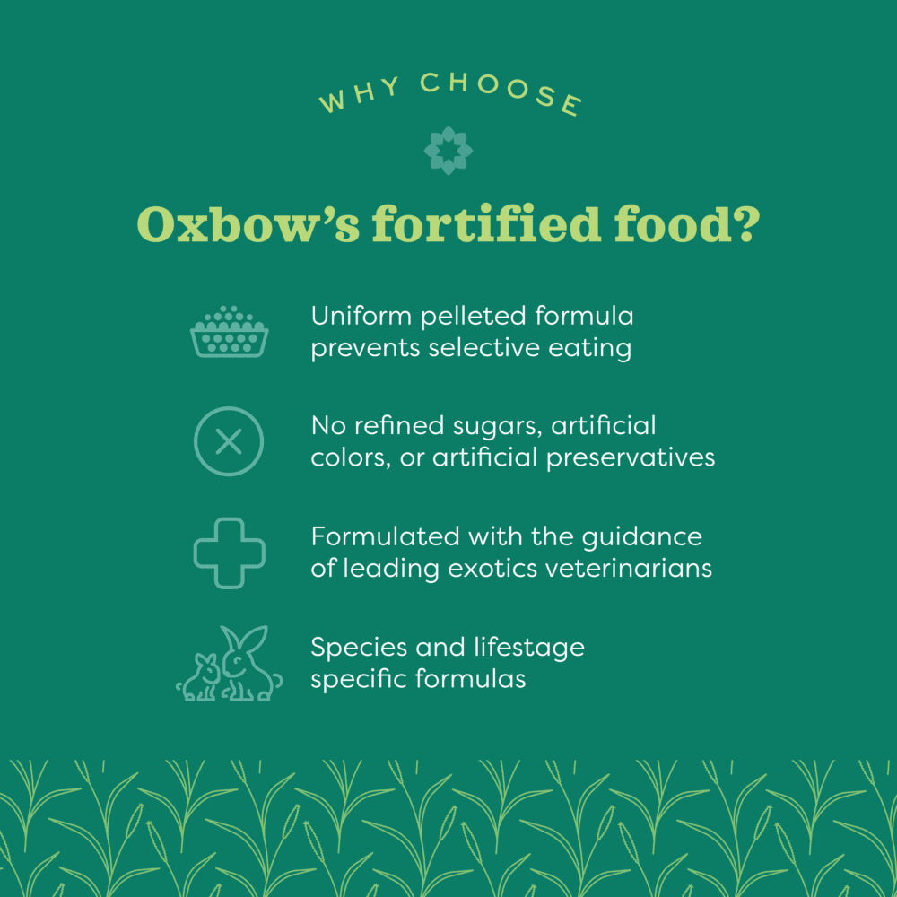 Oxbow Essentials Adult Guinea Pig Food
