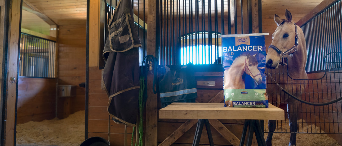 Triple Crown - Balancer Gold