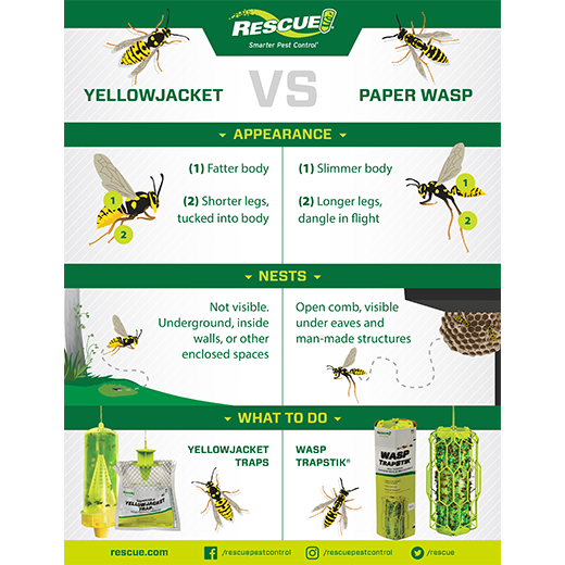 Rescue! Reusable YellowJacket Trap