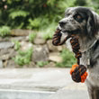 Scout & About - Rope Toy - Tug Ball - L