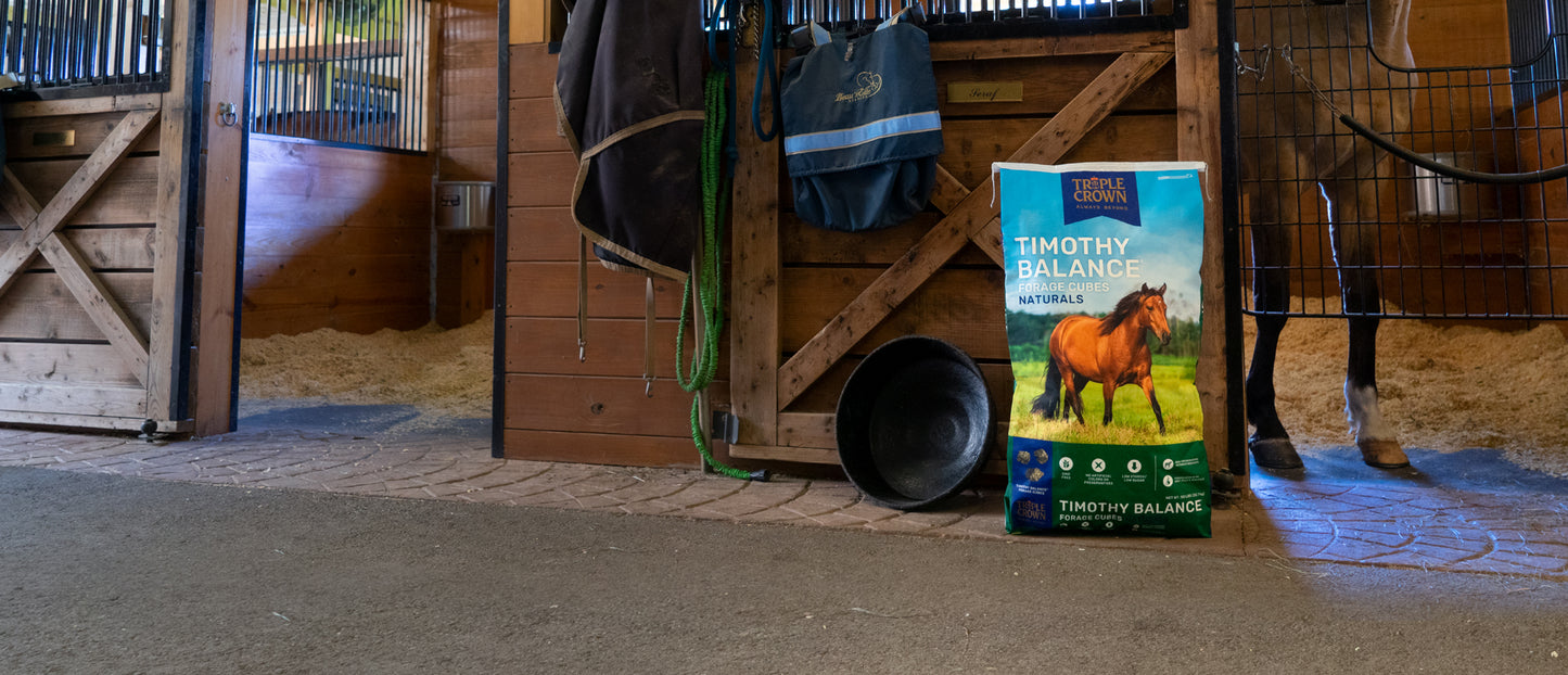 Triple Crown - Timothy Balance