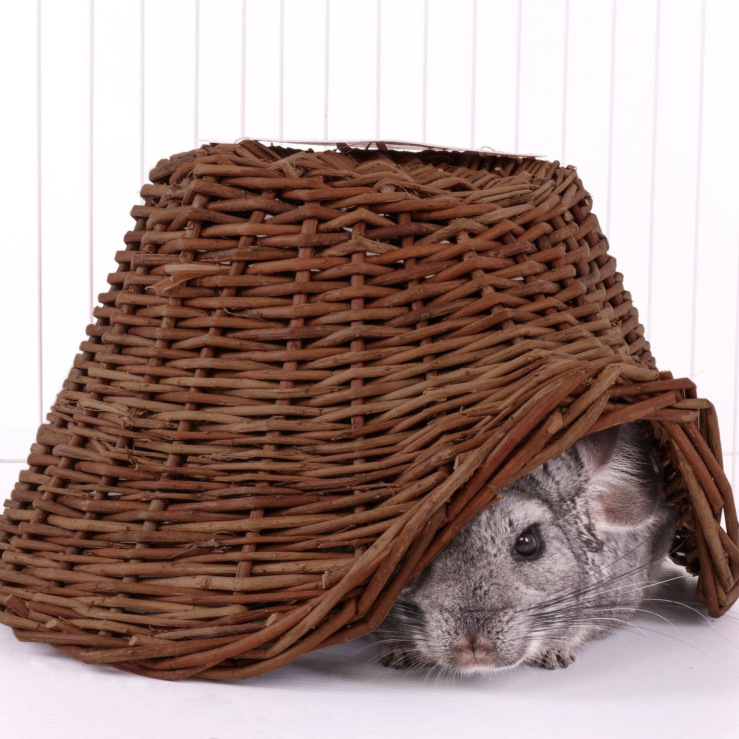 Ware Twigloo, Medium