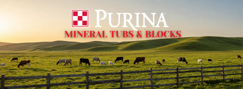 Purina® Mineral Tubs & Blocks