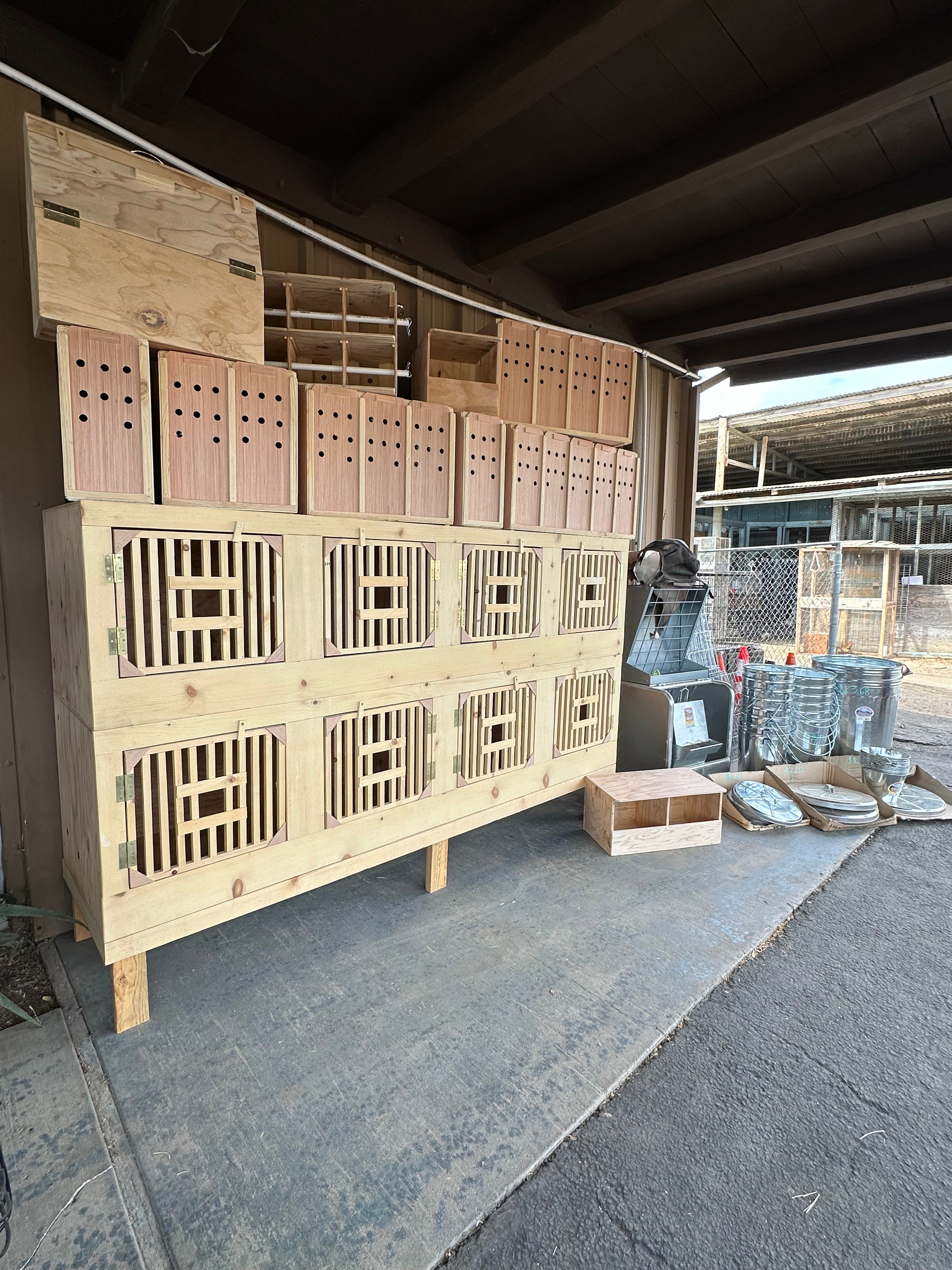 Rooster Carriers/Cages/Cups