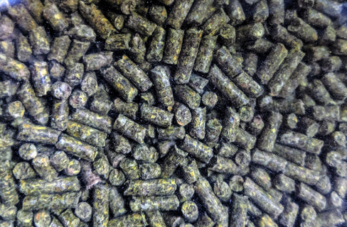 Rabbit Mini-Pellet 16%