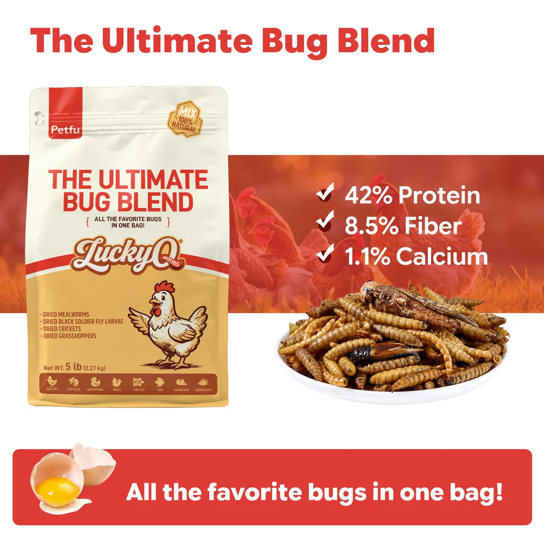 LuckyQWorms - The Ultimate Bug Blend