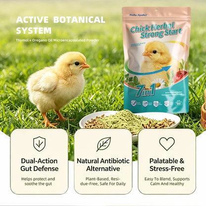 Petfu Apollo1 7-in-1 Chick Herbal Strong Start For Chick & Other Poultry