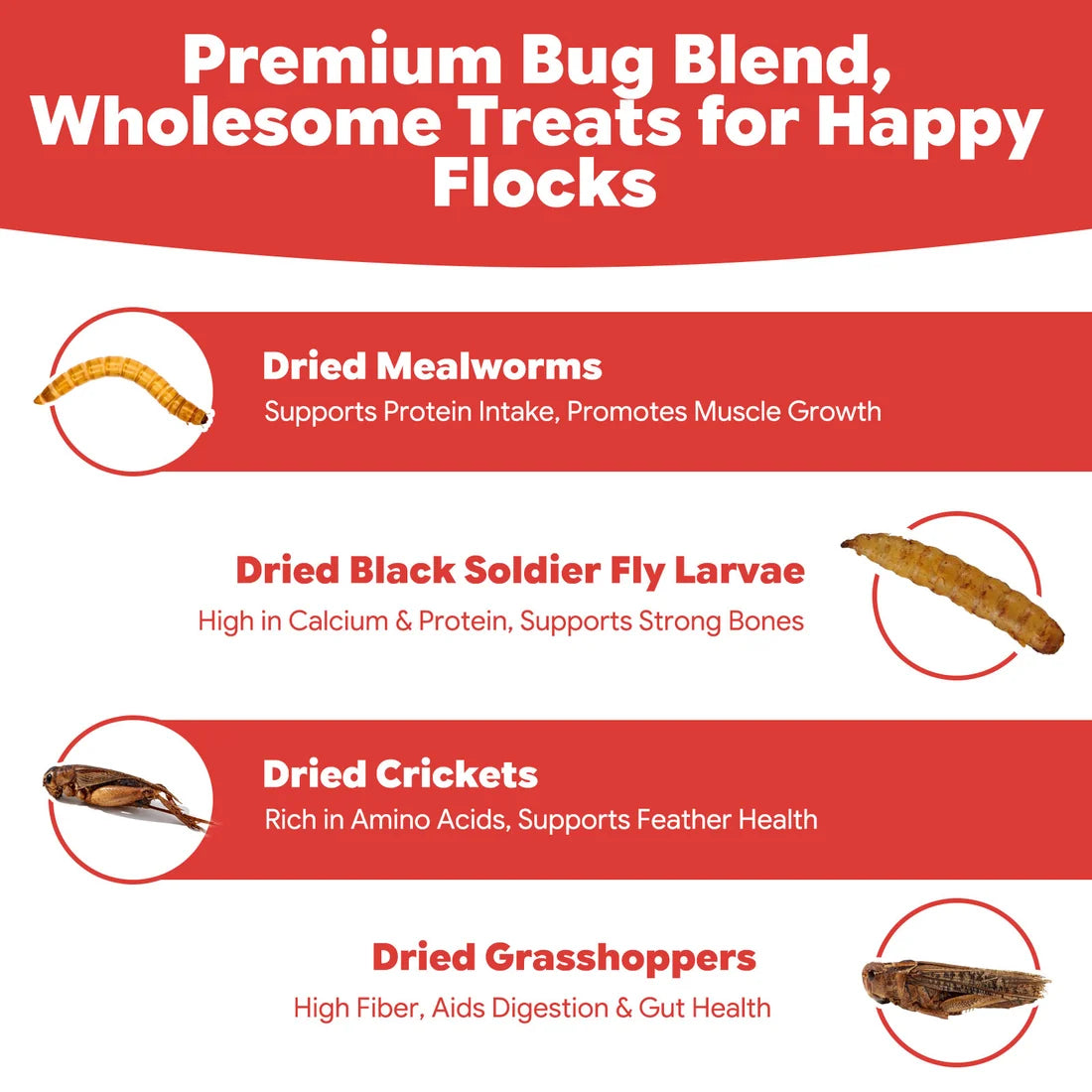 LuckyQWorms - The Ultimate Bug Blend