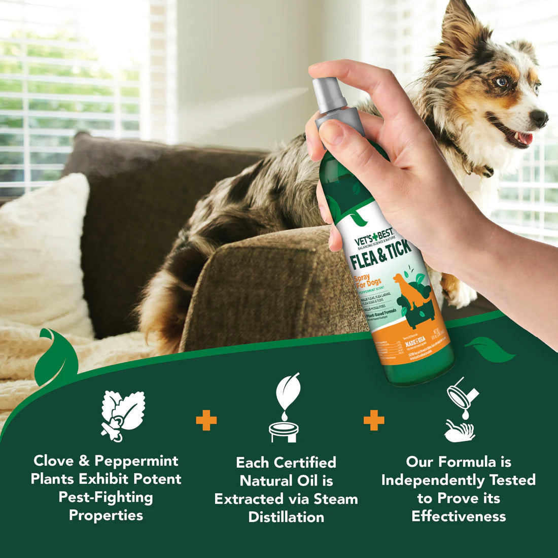 Vet's Best Flea & Tick Spray for Dogs