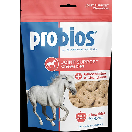 Probios Horse Treat Apple