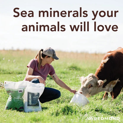 Redmond 10 Fine - Premium Mineral Salt