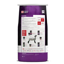 Honor Show - Show Lamb Grower 15% DX