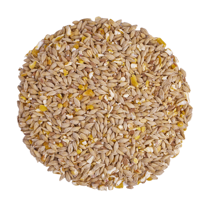 Scratch & Peck - Scratch N Corn
