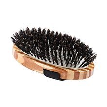 Bass Brushes - Shine & Condition Pet Brushes