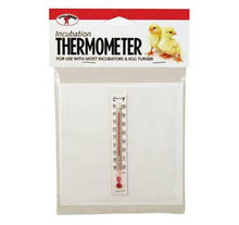 Thermometer