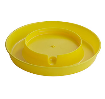 Screw on Base - Gallon