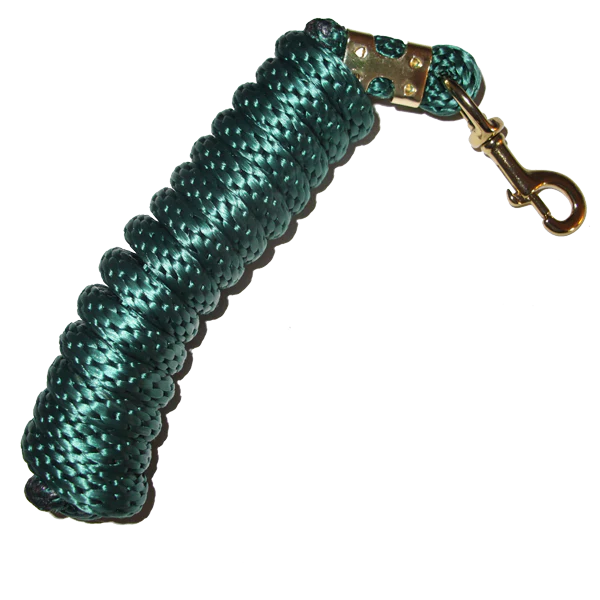 Poly Lead with Brass Plated Bolt Snap 5/8" x 9'