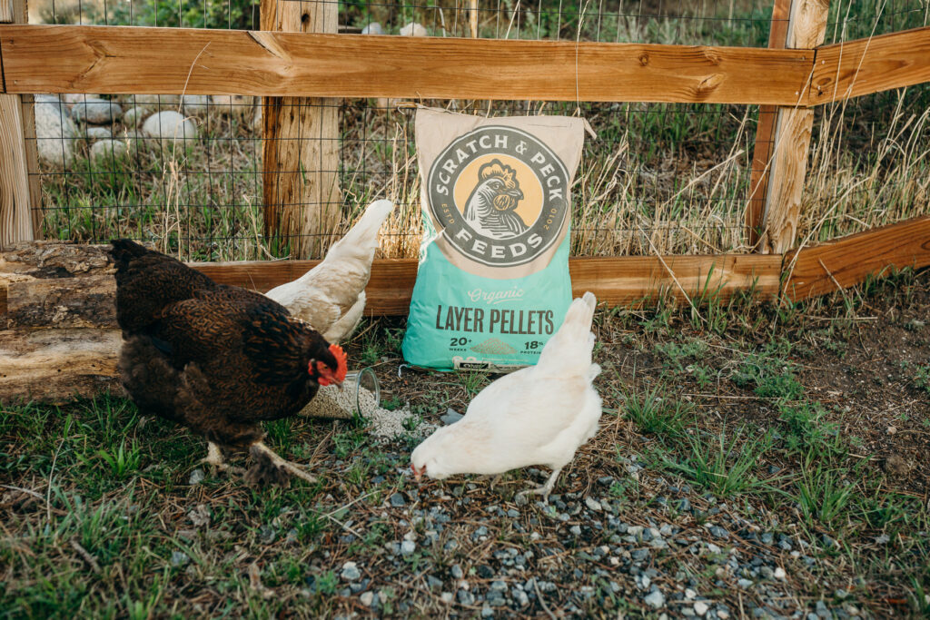 Scratch & Peck - Organic Layer Pellets 18%
