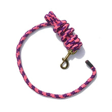 Poly Lead with Brass Plated Bolt Snap 5/8" x 9'