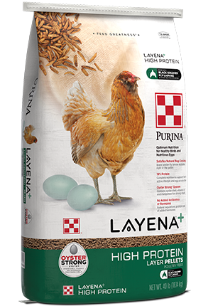 Layena - High Protein