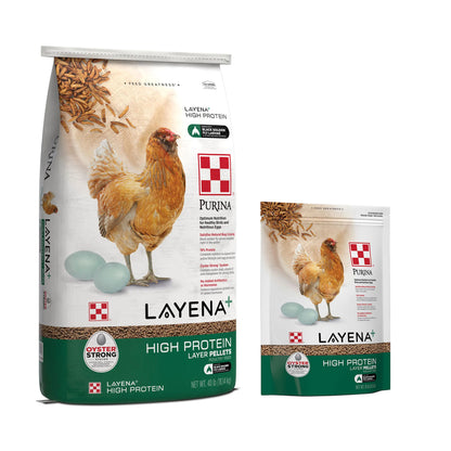 Layena - High Protein