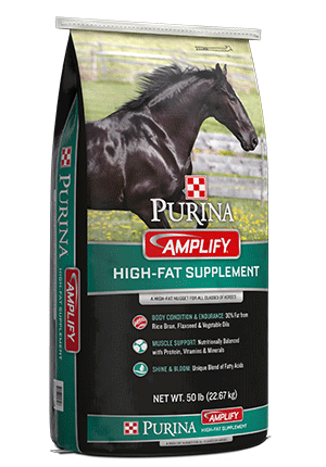 Amplify - High Fat Supplement