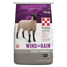 Wind & Rain