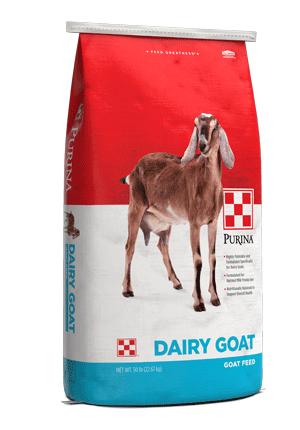 Dairy Goat Parlor 16