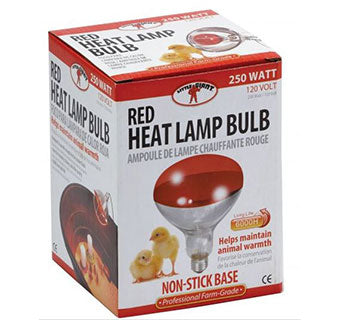 Heat Lamp Bulb