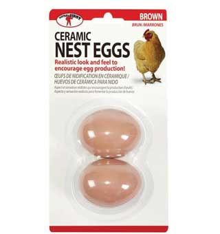 Ceramic Nest Eggs - Little Giant