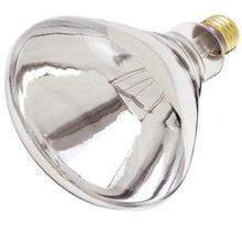 Heat Lamp Bulb