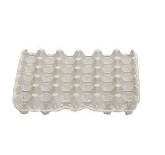 Egg Flat