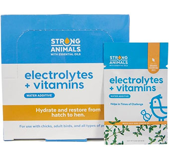 Electrolytes + Vitamins