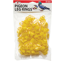 Pigeon Leg Rings
