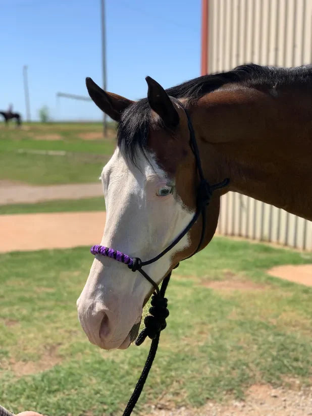 Two Tone Nose Rope Halter, 8' Lead Rope