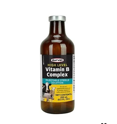 Vitamin B Complex- Injectable