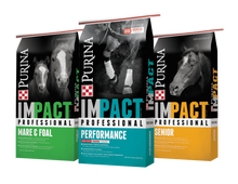 IMPACT PROFESSIONAL