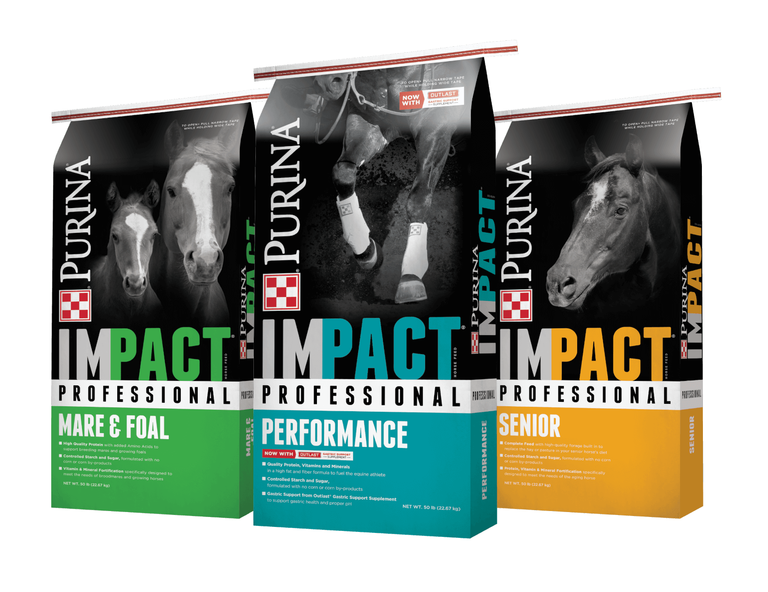 IMPACT PROFESSIONAL