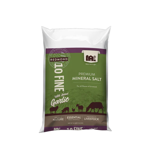 Redmond 10 Fine Mineral Salt with Garlic