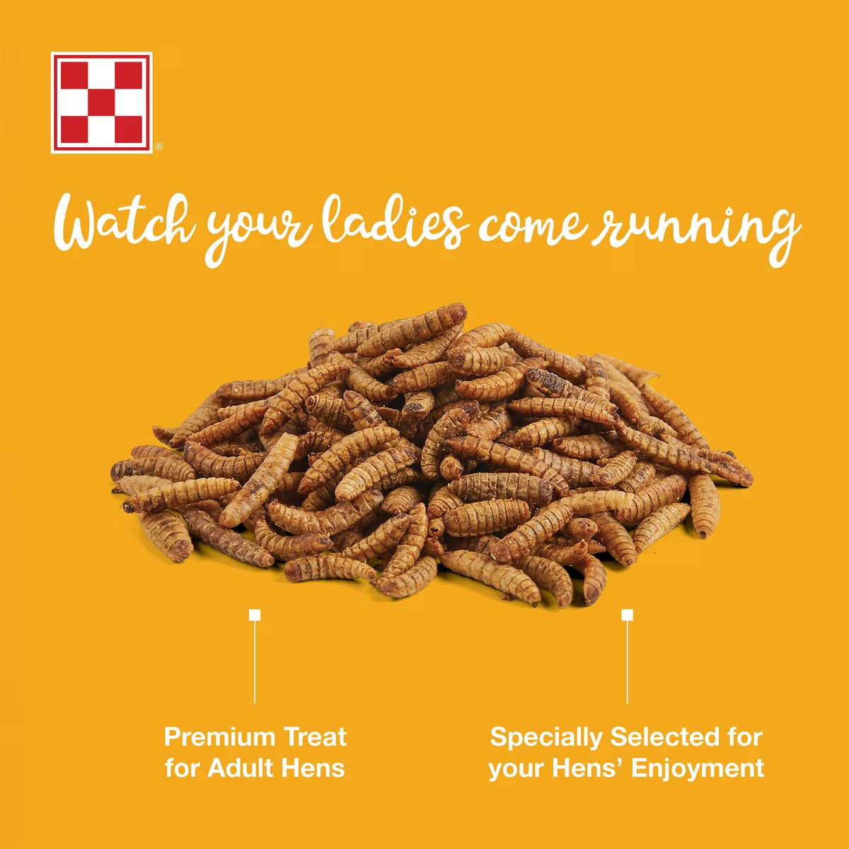 Farm to Flock - Hen Treats - Larvae for Ladies - 3lb