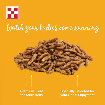 Farm to Flock - Hen Treats - Larvae for Ladies - 3lb
