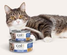 Catit Recipes Skin & Coat Can Food